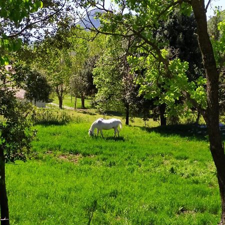Agriturismo Colloreto Morano Calabro Esterno foto