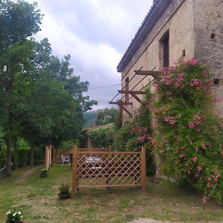 Agriturismo Colloreto Morano Calabro Esterno foto