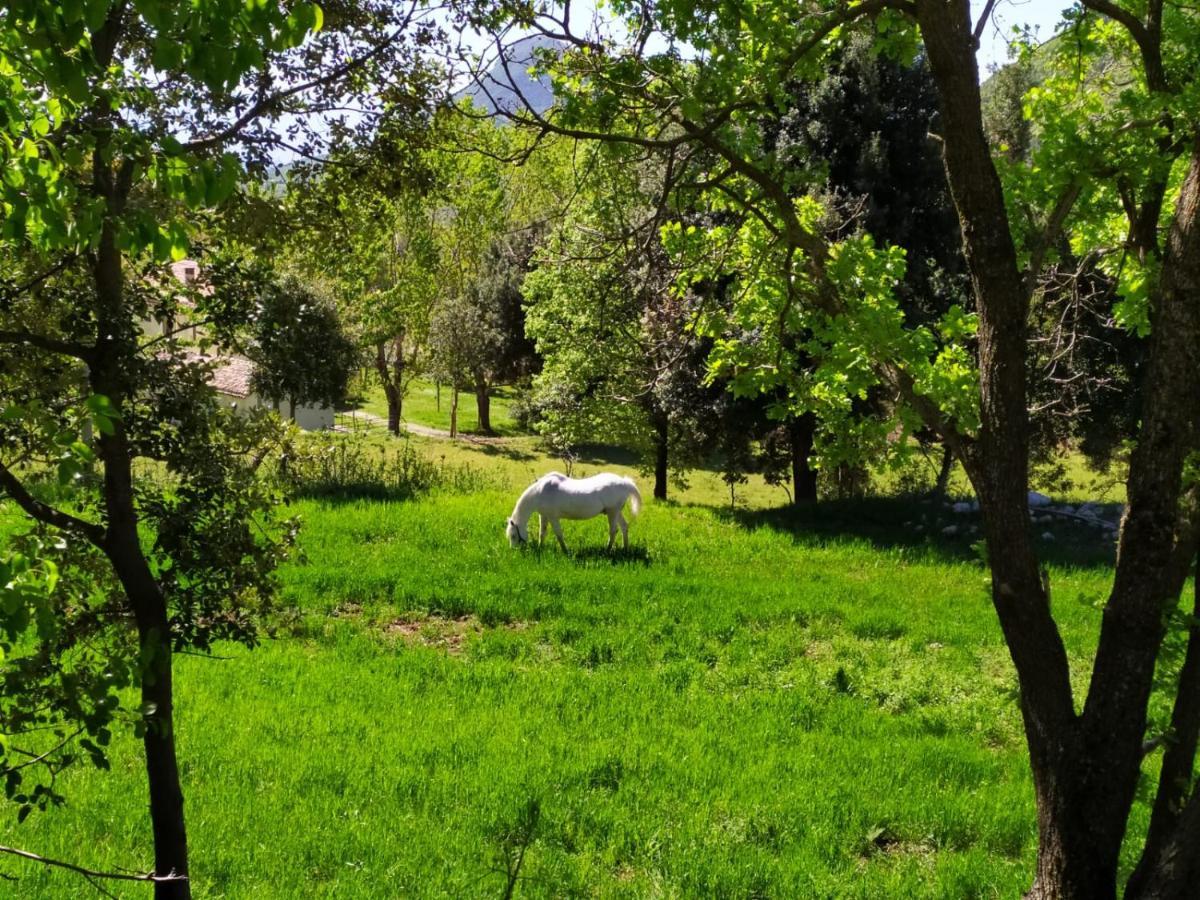 Agriturismo Colloreto Morano Calabro Esterno foto