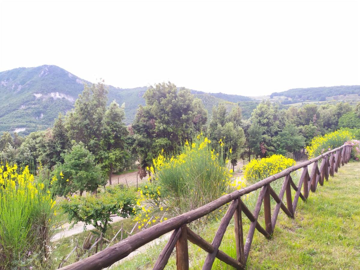 Agriturismo Colloreto Morano Calabro Esterno foto