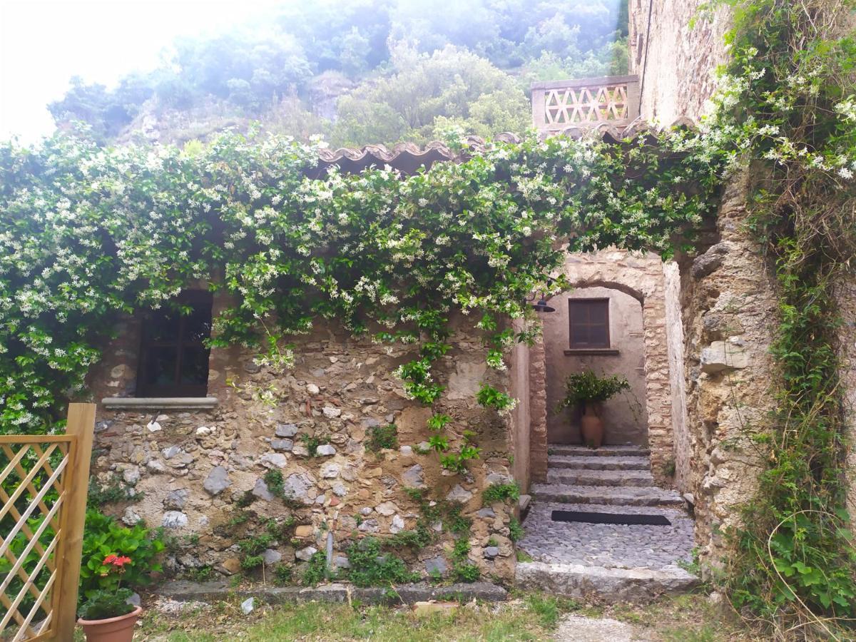 Agriturismo Colloreto Morano Calabro Esterno foto