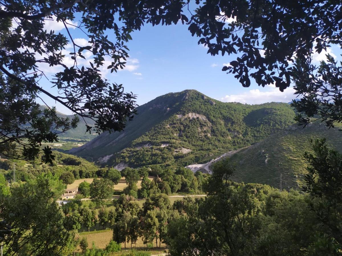 Agriturismo Colloreto Morano Calabro Esterno foto